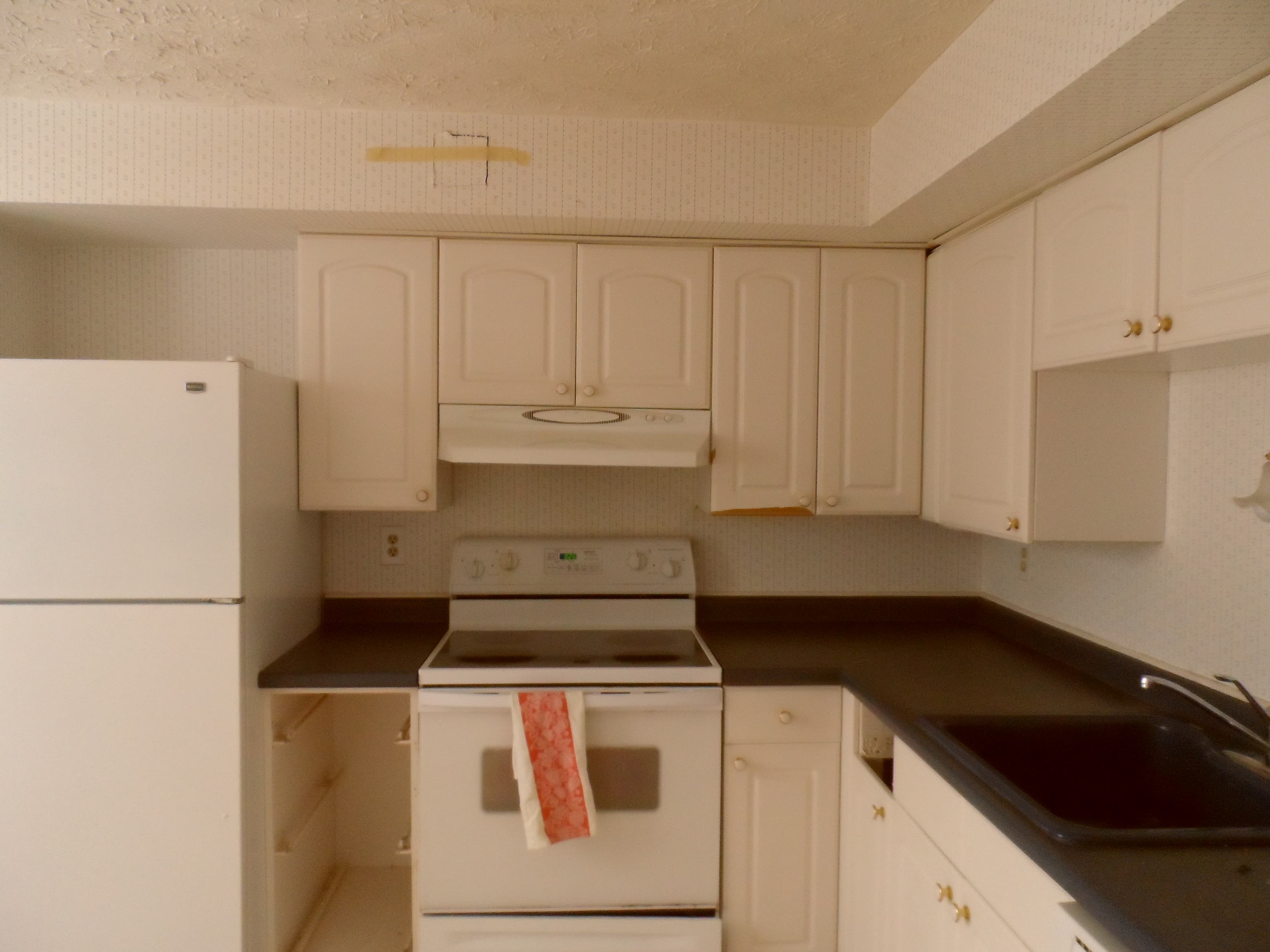 Kitchen cabinets before image 1